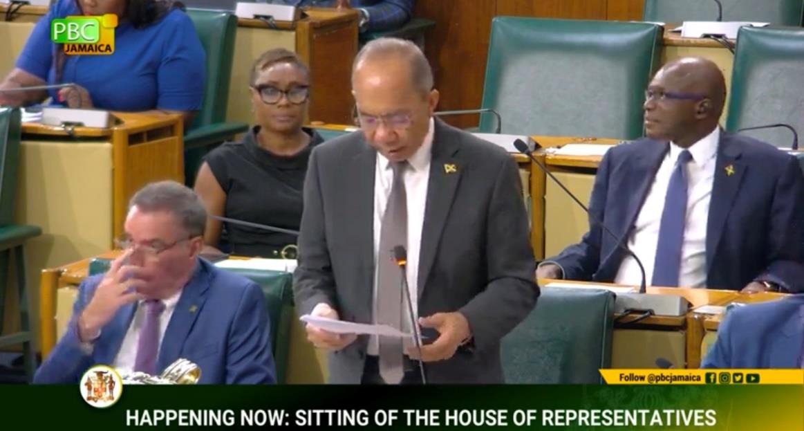 Deputy Prime Minister and Minister of National Security, the Hon. Dr. Horace Chang declares an additional one-hundred and eighty day extension of the seven Zones of Special Operations(ZOSOs) in four parishes during the sitting of the House of Representatives today (December 3).