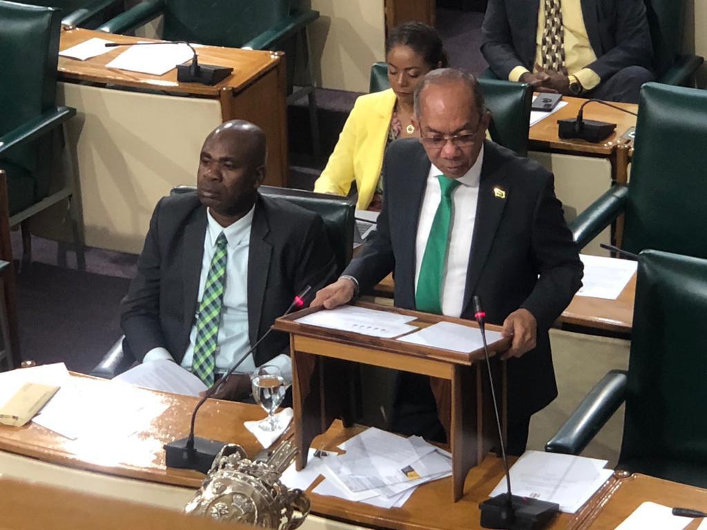Deputy Prime Minister and Minister of National Security, the Hon. Dr Horace Chang, says the Jamaica Constabulary